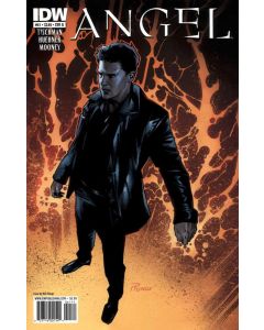 Angel After the Fall (2007) #  41 COVER B (9.0-NM)