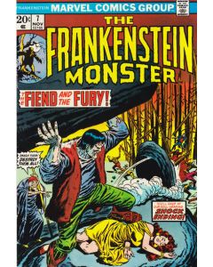 Frankenstein (1973) #   7 (6.5-FN+)